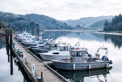 Marina and harbour, wide morning shot — Landing page imagery, coastal hero.